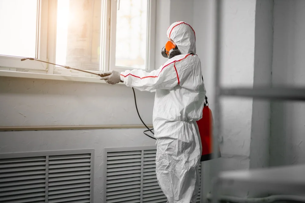 Professional mold remediation services in Harmony, IN